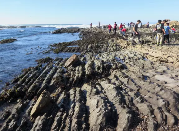 Hike down to a cove with tidepools.