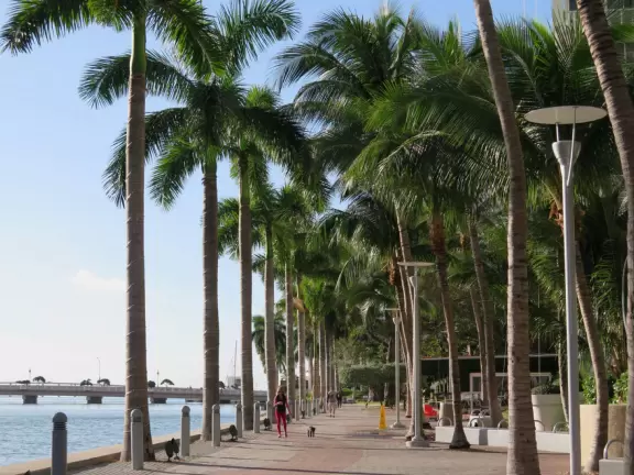 Fantastic, wide running path for 1.5 miles, along the river on the mainland, over the bridge, and all around Brickell Key. Very dense city atmosphere.