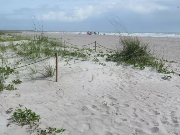 Beach with pretty dunes, slightly grody shoreline, and great walk to jetty.
