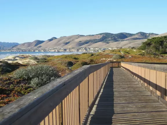 Wonderful wooden boardwalk over the dunes, with gorgeous views of the sea! Plus eucalyptus forest. You can walk 1.7 miles in total!