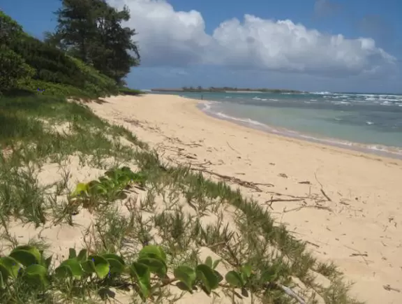 Remote, rugged beach.