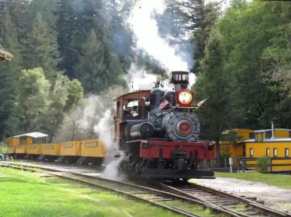 A train ride in an open car into the redwood forest among glorious old trees- a dream!