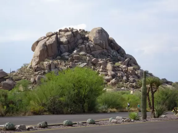 JULY 30, 2006 BLOG POST