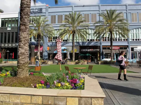 WINTER 2010 BLOG POSTS