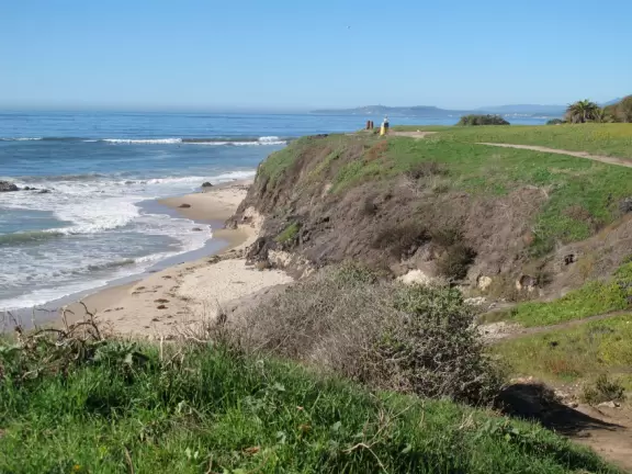 A secluded beach with golden bluffs, little birds running along the shore, a surfer or two, and forest behind.